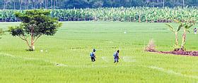 Devanahalli special agri zone, no bar on land sale