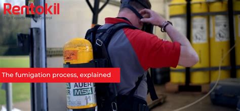 Image result for Fumigation Process