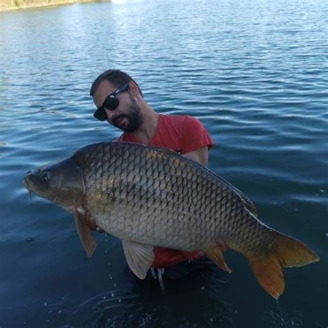 Poseidon Fishing Resort – Horgászat Magyarországon – Európa egyedülálló ...