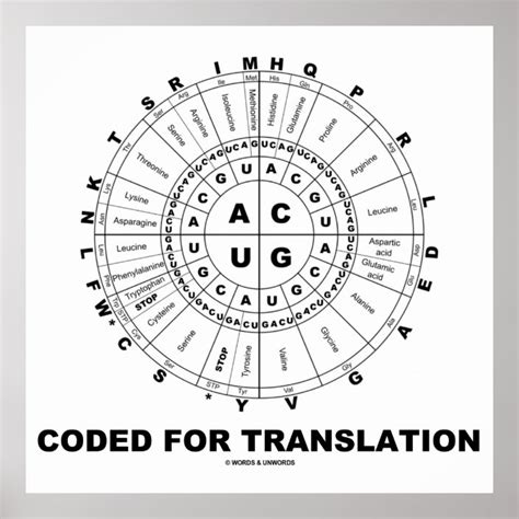 Coded For Translation (RNA Codon Wheel) Poster | Zazzle.com
