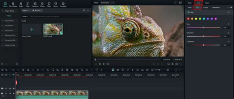 Image result for Video Now Color