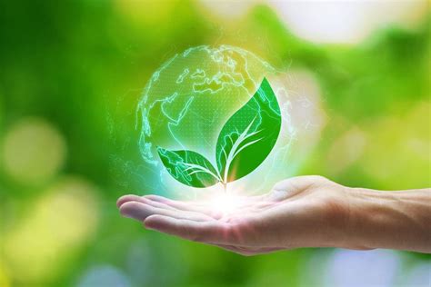 Environmental Engineering 的图像结果