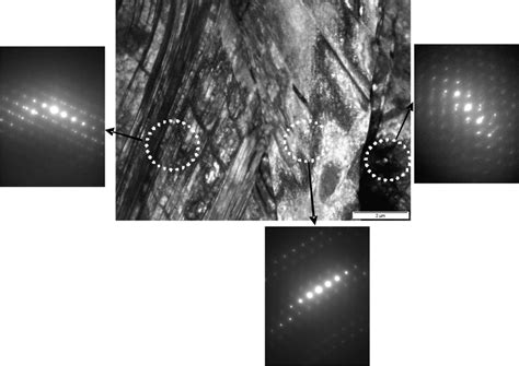 Image result for Extrapolate Plastic Strain LS-PrePost