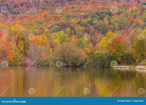 Autumn Foliage and Reflection in Vermont, Elmore State Park Stock Image ...