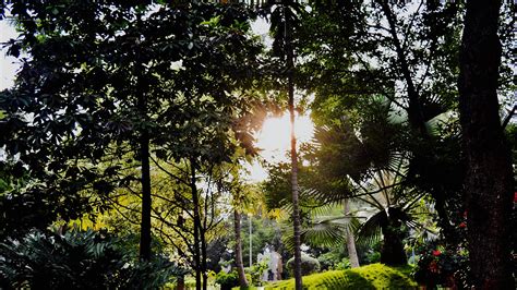 Centre for Cellular and Molecular Biology on LinkedIn: What goes on in ...