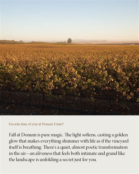 The Donum Estate | “Fall at Donum is pure magic [...] The light softens ...