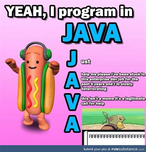 Image result for Is Java a Celebrities