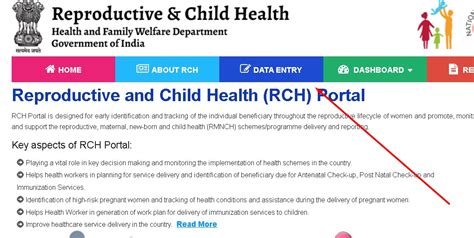 RCH Portal Data Entry 的图像结果