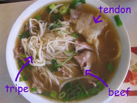 pho tendon