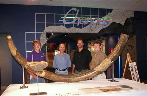 Tales from the Vaults: The Discovery of Judd the Wooly Mammoth ...