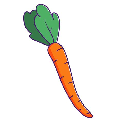 Cenoura desenho Imagens – Download Grátis no Freepik