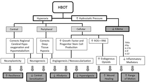 Clinical Considerations for Implanted Neurological Devices in Patients ...
