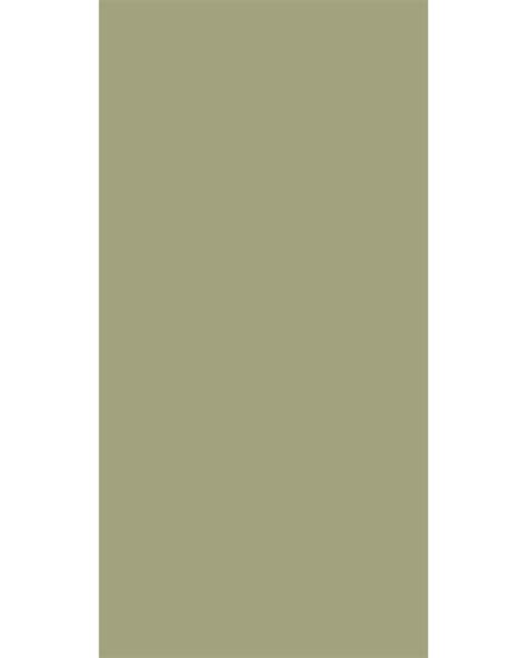 Buy Clary Jade ZM 180 Zero Matte Finish Green Laminate Sheet