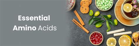 Essential Amino Acids: Benefits, Sources & Role in Muscle Growth