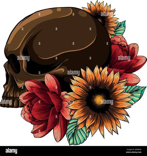 vector illustration of Skull with flower ornament on white background ...