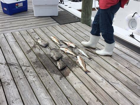 FINS AND FAMILY FISHING (2026) All You Need to Know BEFORE You Go (with ...