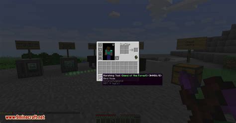 Image result for Morph Tool Mod Minecraft