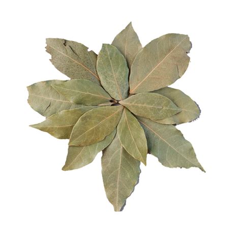 The Immune-Boosting Benefits Of Immuni Tea – Rasraj Ayurvedic