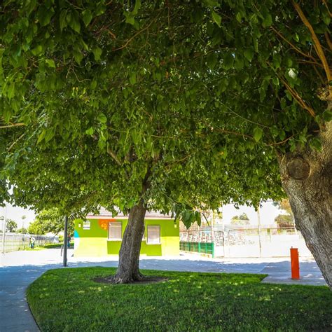 Allen J. Martin Park – Parks & Recreation