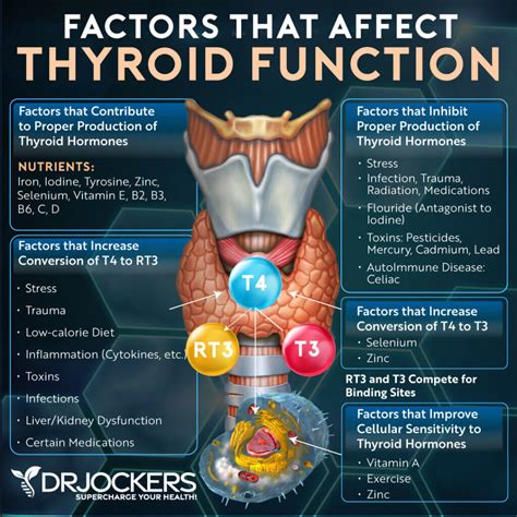 10 Nutrients to Improve Thyroid Function - DrJockers.com