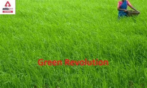 Green Revolution in India