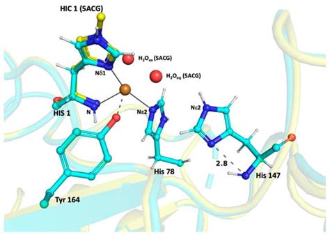 Protonation State of an Important Histidine from High Resolution ...