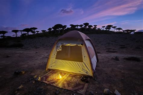 TOUR SOCOTRA (2026) All You Need to Know BEFORE You Go (with Reviews ...
