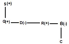 SBI PO Mains Reasoning Ability Quiz: 1st July
