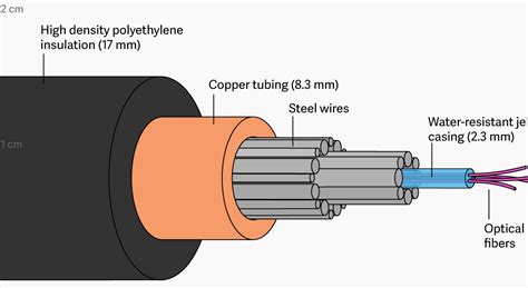 Image result for 1-Wire O2 Sensor Test