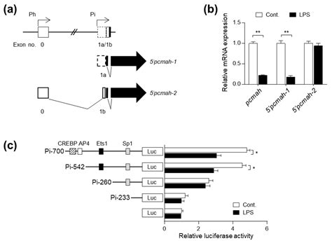 Gram-Negative Bacterial Endotoxin LPS Induces NeuGc Loss through Ets1 ...