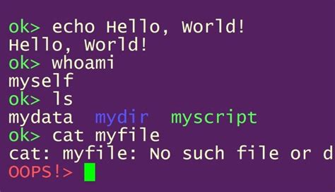 Image result for Command Line Command FL