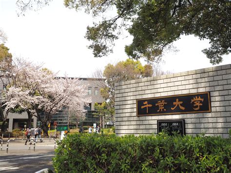 Chiba University - Exchange | International Education And Enrolment