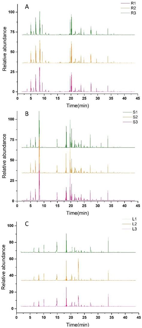 Quality and Metabolomics Analysis of Houttuynia cordata Based on HS ...