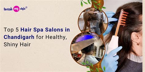 Top 5 Hair Spa Salons in Chandigarh for Healthy, Shiny Hair