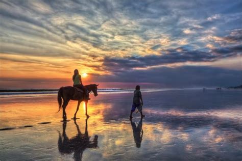 Top 6 Beach Horse Trails In South Africa