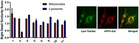 Excitation of a Single Compound by Light and Ultrasound Enhanced the ...