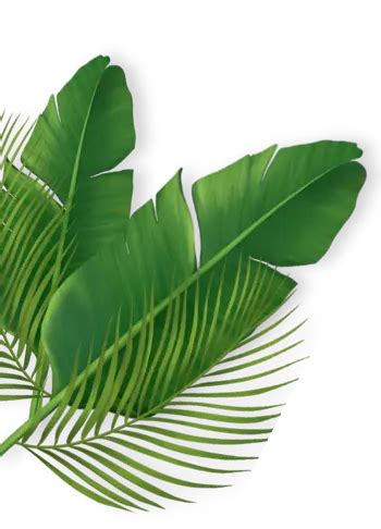 Buy Ayurvedic Products Online in India | SATKARTAR