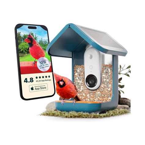 Best 5 Bird Feeder Cameras: Crystal-Clear Wildlife Monitoring for Every Nature Enthusiast