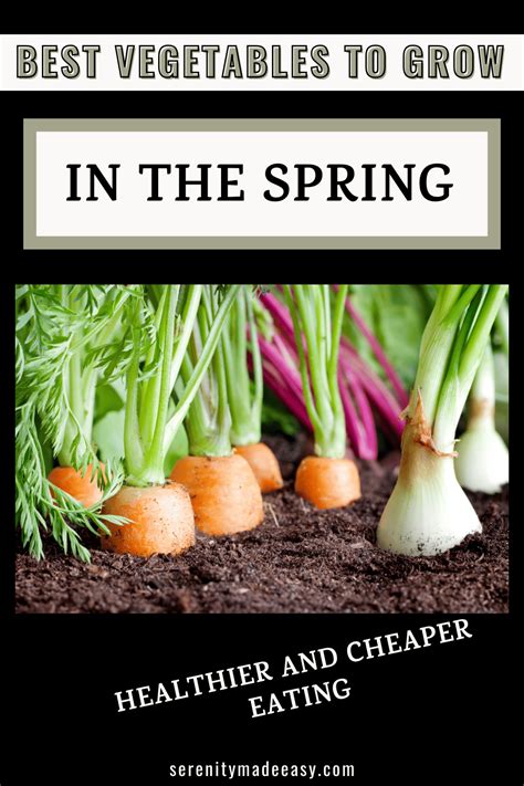 Grow Spring Vegetables 的图像结果