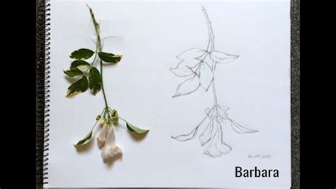 Image result for July Drawing Challenge