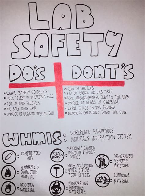 Safety Poster Lab Safety Science Lab Safety Science Lab Safety Rules
