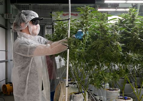 Election 2023: What you need to know about Ohio Issues 1 and 2