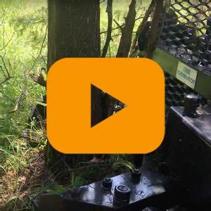 Image result for Tree Terminator