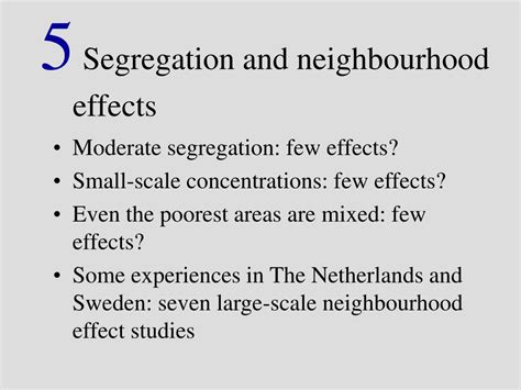Segregation Effects 的图像结果