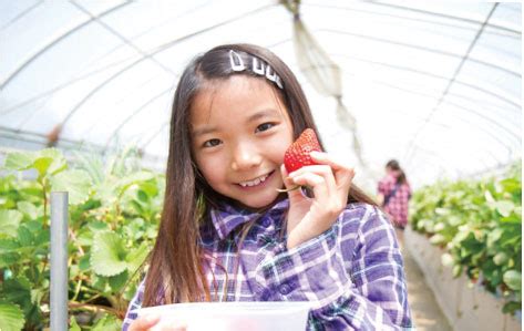 Image result for Spring Break Writing Activity