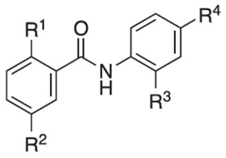 Optimizing Niclosamide for Cancer Therapy: Improving Bioavailability ...