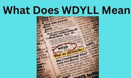 What Does WDYLL Mean? Understanding the Acronym and Its Use in Modern ...