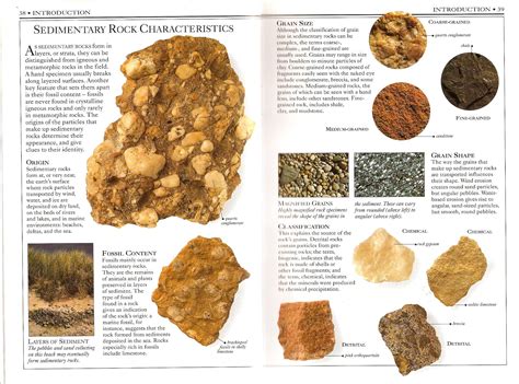 Sedimentary Rock Identification