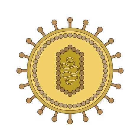 Learn About The 8 Viruses That Can Cause Cancer