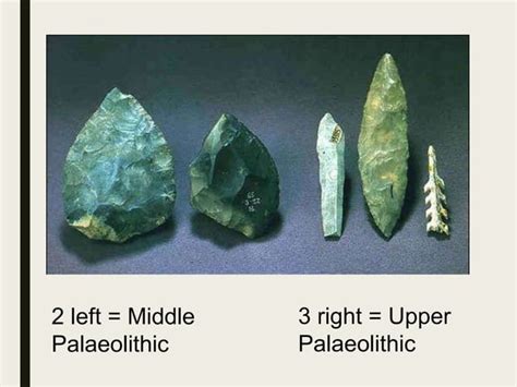 How Does Culture Develop 的图像结果